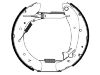 剎車蹄片 Brake Shoe Set:4241.4X